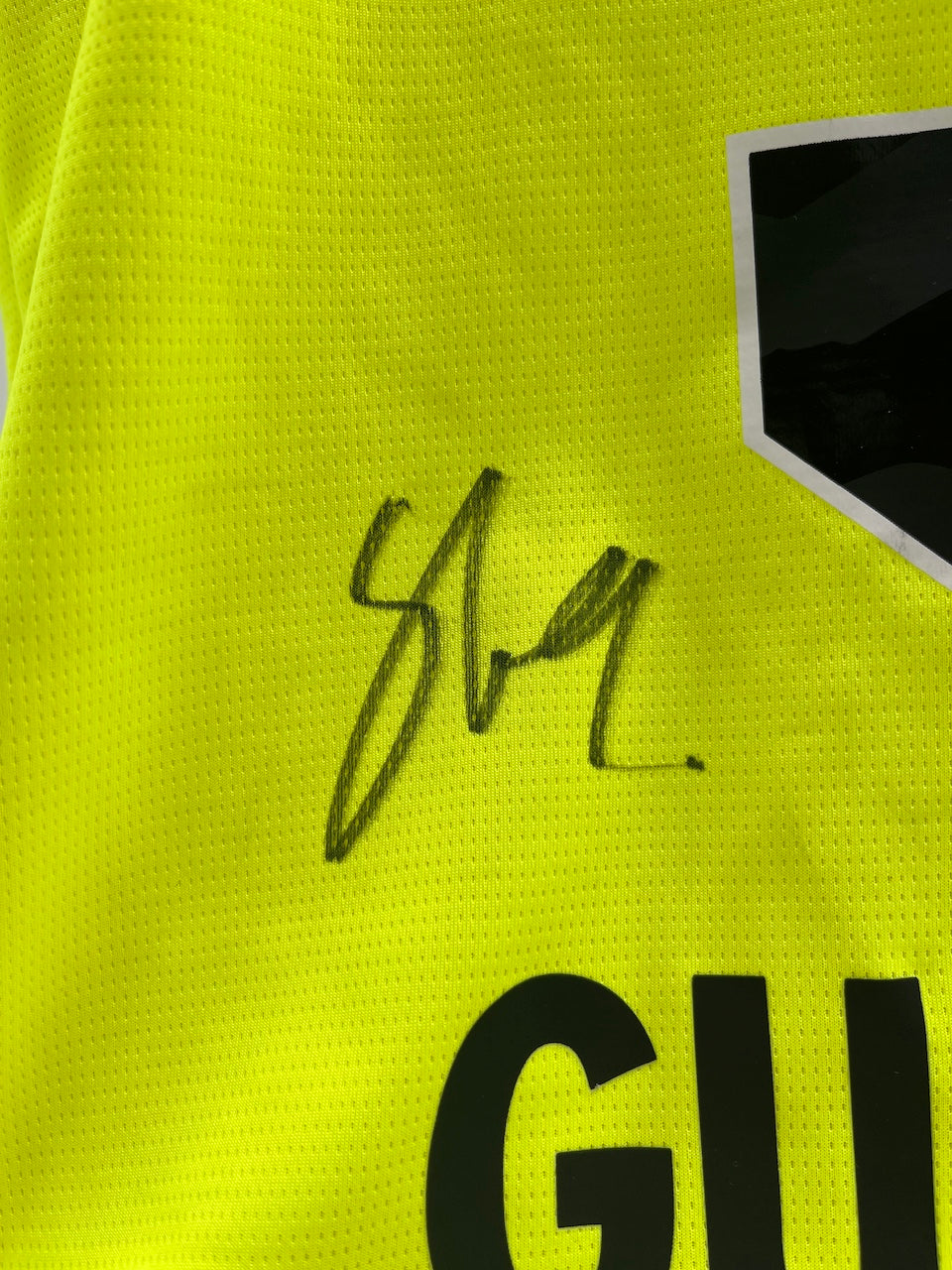 BVB Sondertrikot 2025 Teamsigniert Borussia Dortmund COA Puma Autogramm L