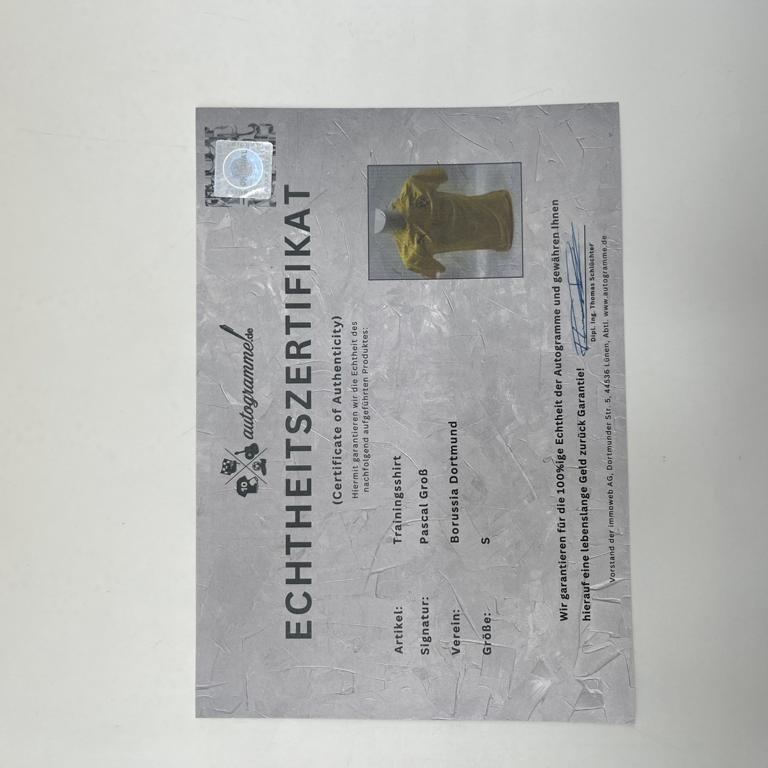 Borussia Dortmund Trainingsshirt Pascal Groß signiert Puma COA  Autogramm S