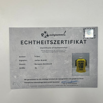 Borussia Dortmund Trikot signiert Julian Brandt BVB Puma Autogramm XL neu