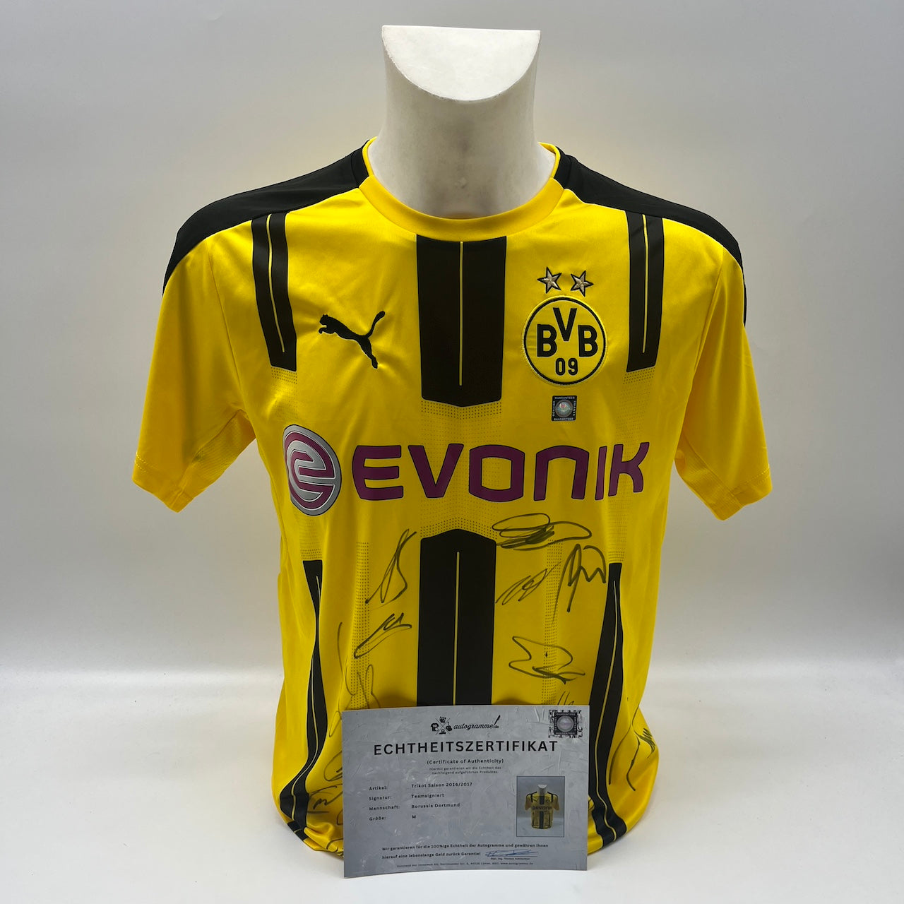 BVB Trikot 2016/2017 Teamsigniert Borussia Dortmund Puma M