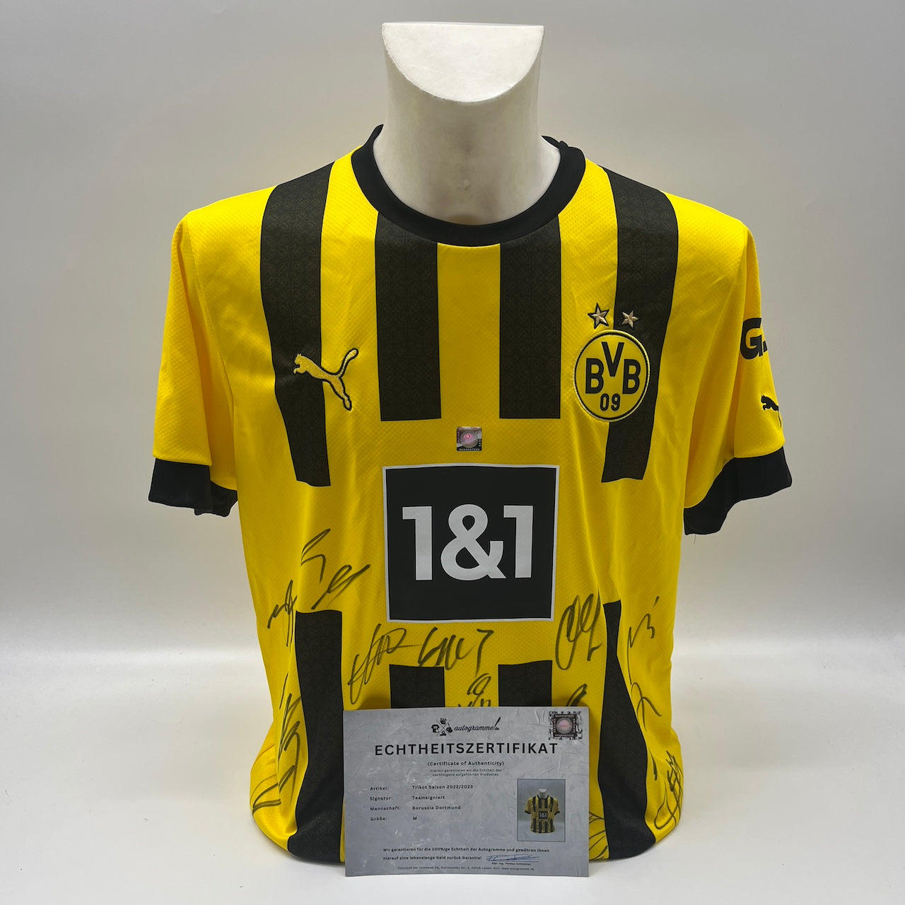 BVB Trikot 2022/2023 Teamsigniert Borussia Dortmund COA Puma L