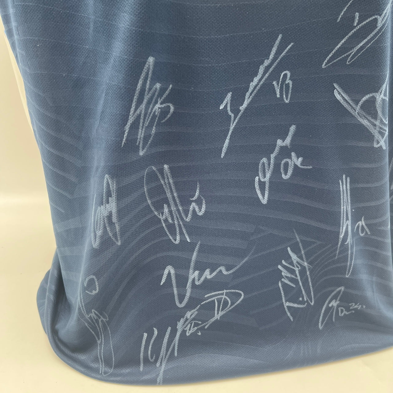 TSG Hoffenheim Authentic-Trikot Ihlas Bebou + Teamsigniert Autogramm neu L