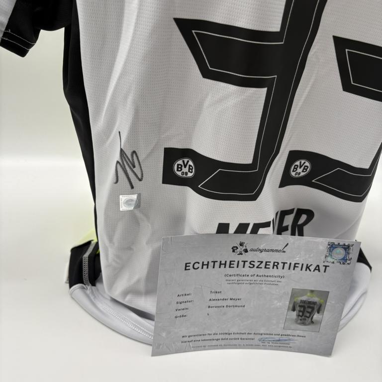 Borussia Dortmund Trikot Alexander Meyer signiert BVB Puma L