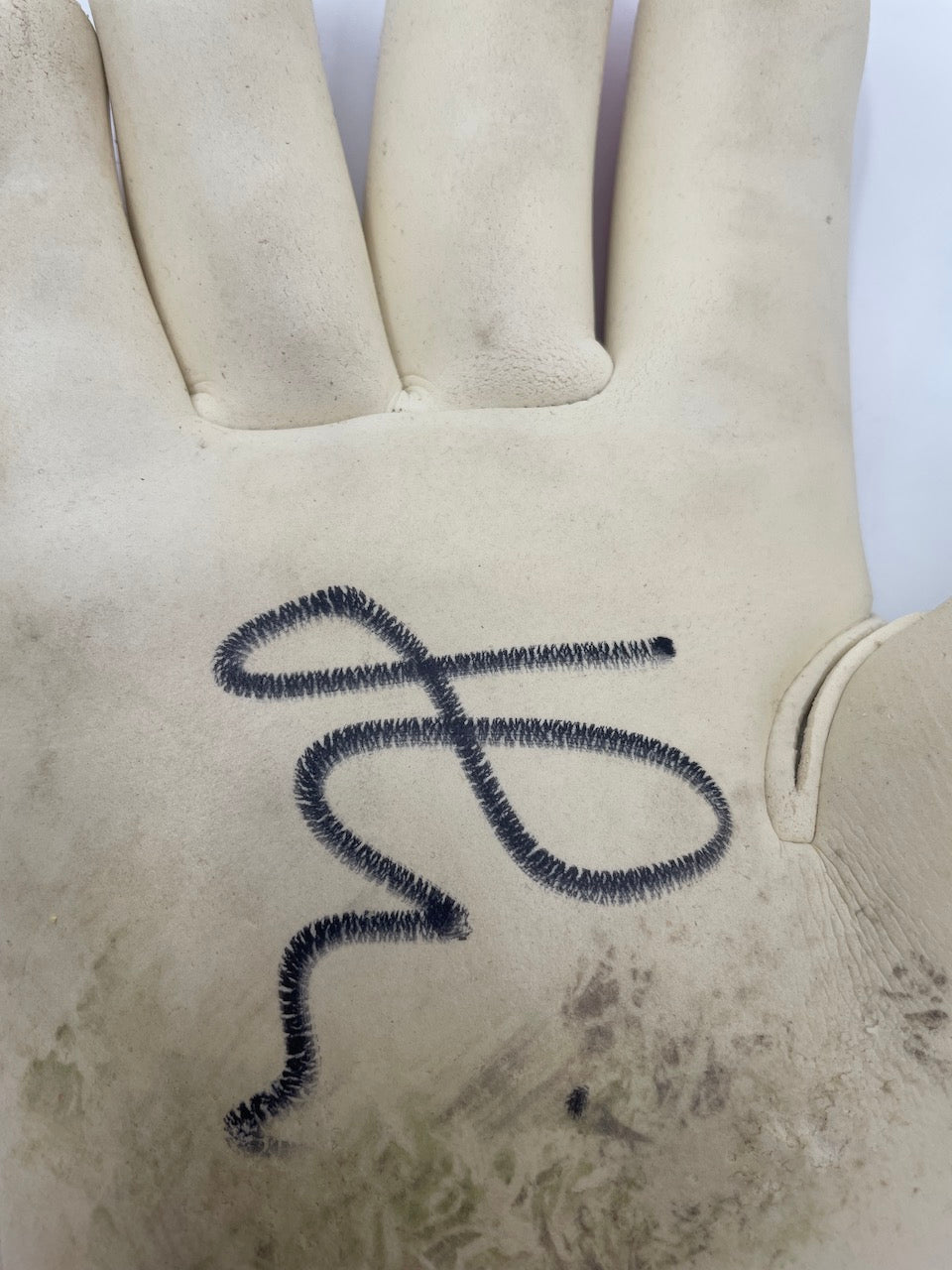 Torwarthandschuhe Marvin Hitz getragen + signiert Autogramm Dortmund Matchworn