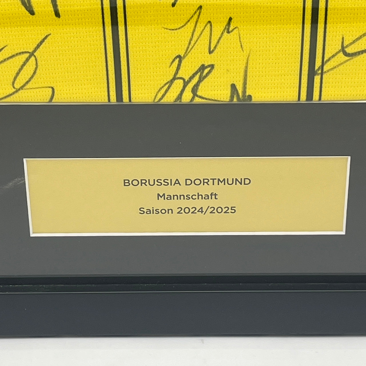 Borussia Dortmund Trikot 2024/2025 Teamsigniert im Rahmen Puma BVB