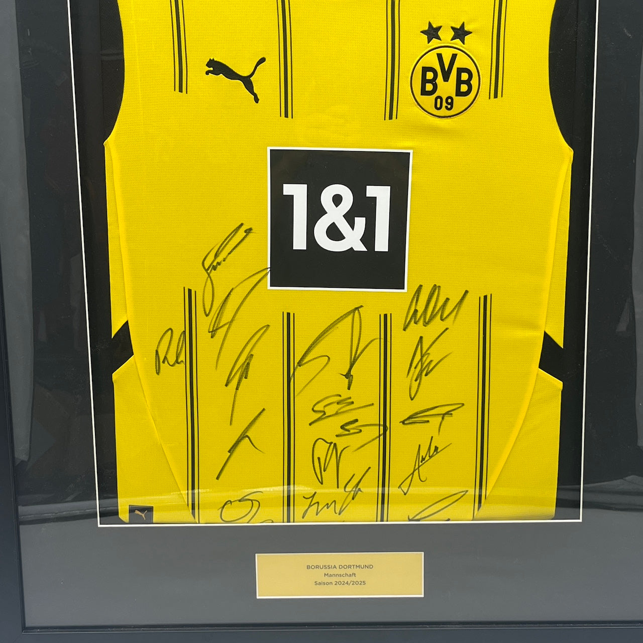 Borussia Dortmund Trikot 2024/2025 Teamsigniert im Rahmen Puma neu BVB