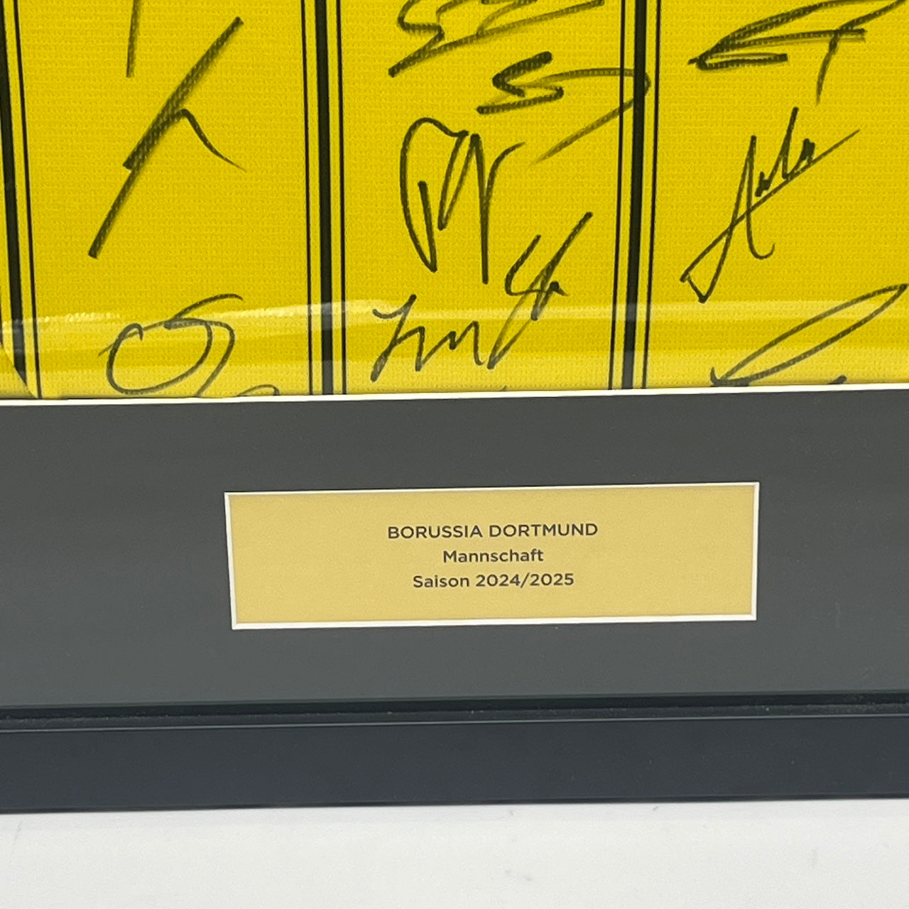 Borussia Dortmund Trikot 2024/2025 Teamsigniert im Rahmen Puma neu BVB