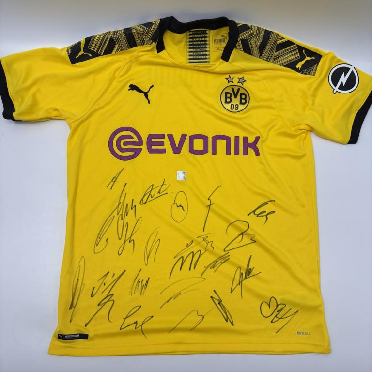 BVB Trikot 2019/2020 Teamsigniert Borussia Dortmund Puma L