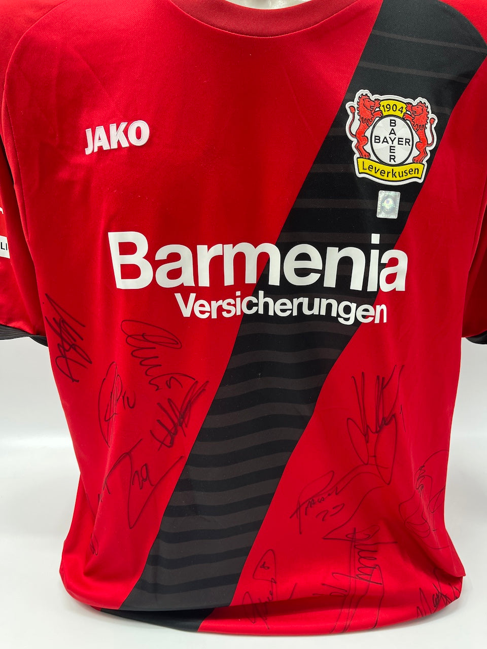 Bayer Leverkusen Trikot 2017/2018 Teamsigniert Autogramm COA Jako XXL