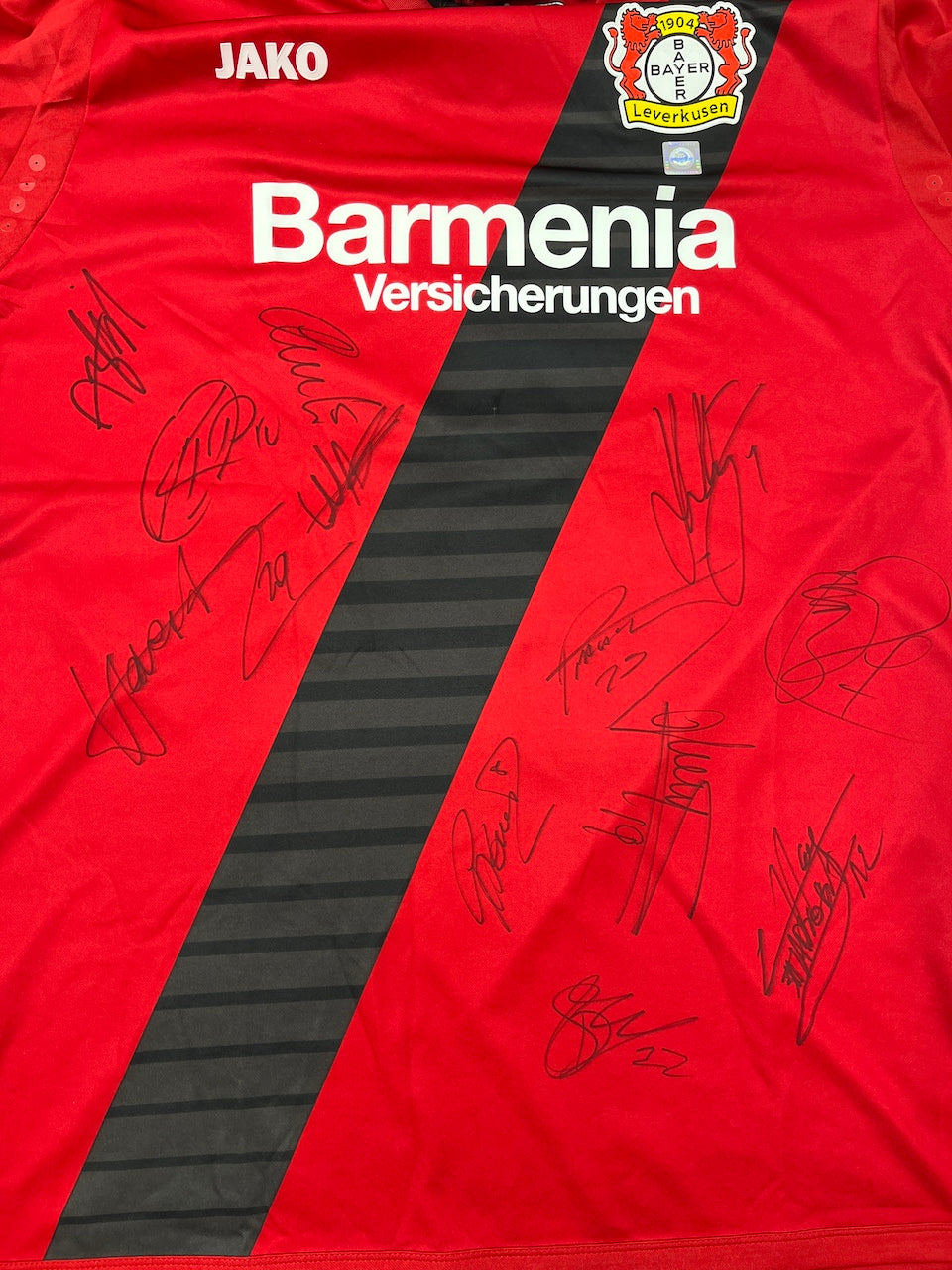 Bayer Leverkusen Trikot 2017/2018 Teamsigniert Autogramm COA Jako XXL