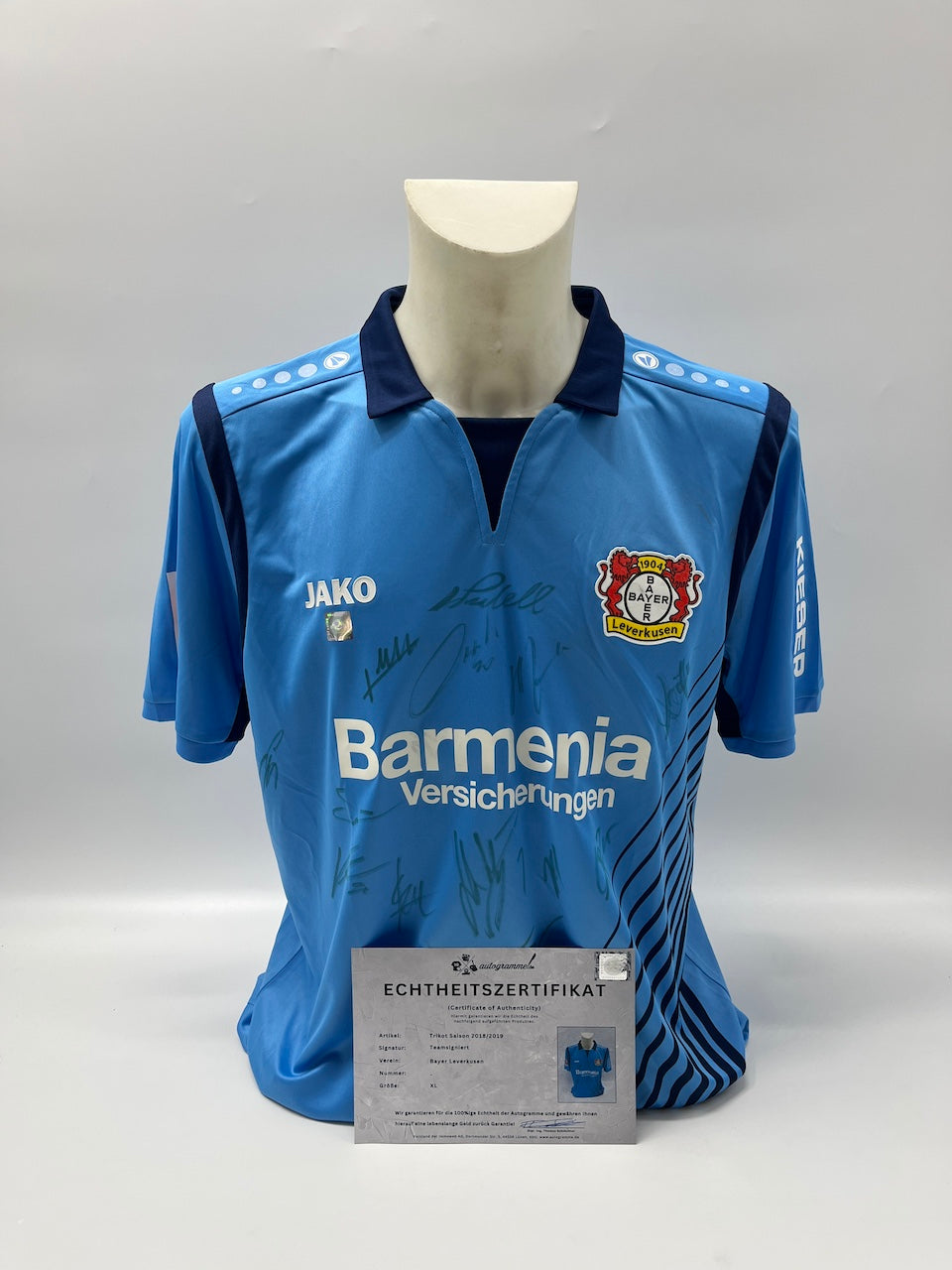 Bayer Leverkusen Trikot 2018/2019 Teamsigniert Autogramm COA Jako XL
