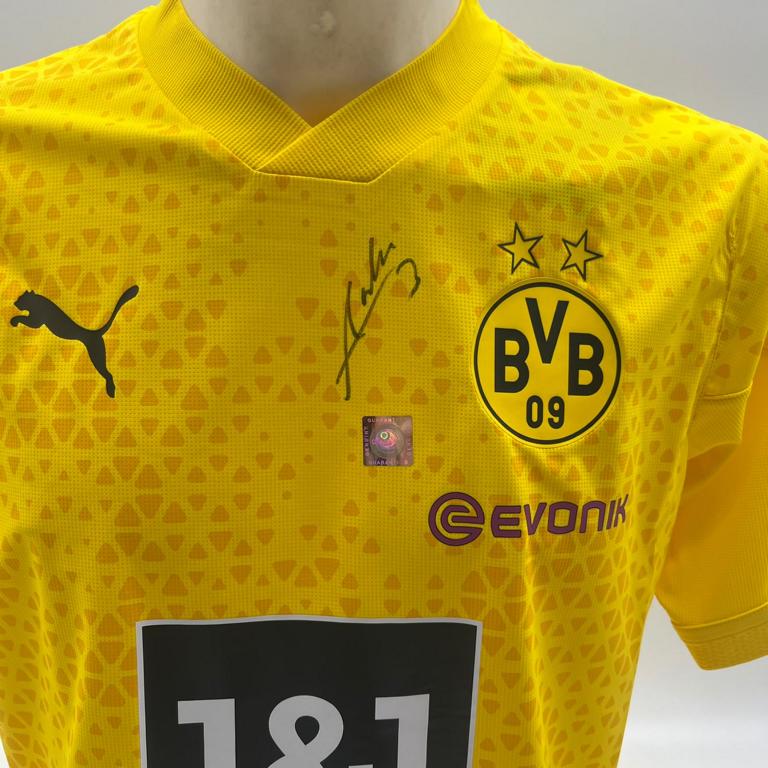 Borussia Dortmund Trainingsshirt Waldemar Anton signiert Puma COA  Autogramm L