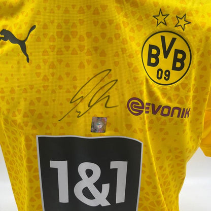 Borussia Dortmund Trainingsshirt Alexander Meyer signiert Puma COA  Autogramm L