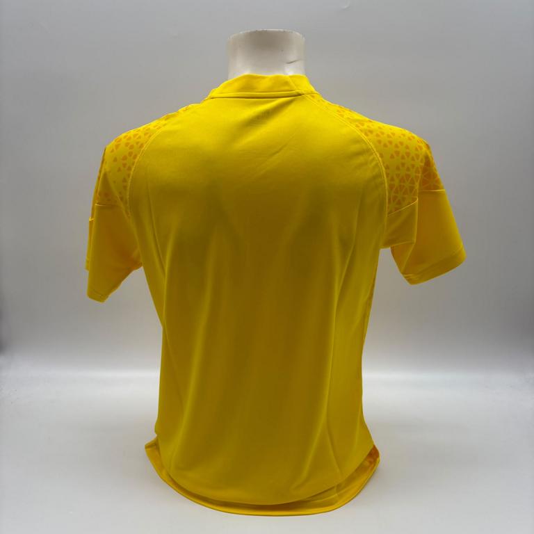Borussia Dortmund Trainingsshirt Alexander Meyer signiert Puma COA  Autogramm L