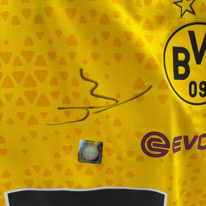 Borussia Dortmund Trainingsshirt Alexander Meyer signiert Puma COA  Autogramm L