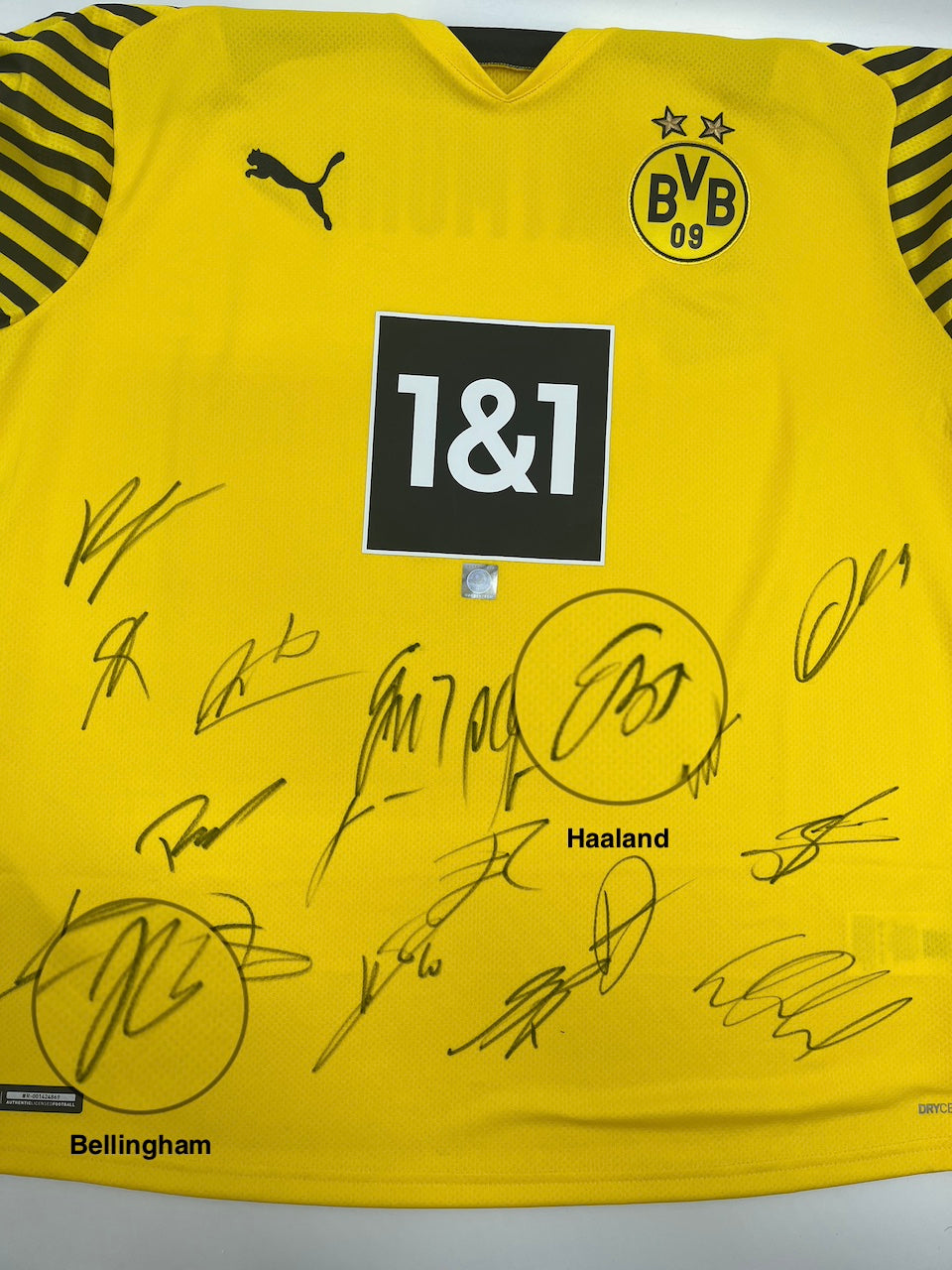 BVB Trikot 2021/2022 Teamsigniert Borussia Dortmund Bellingham Haaland Puma XL