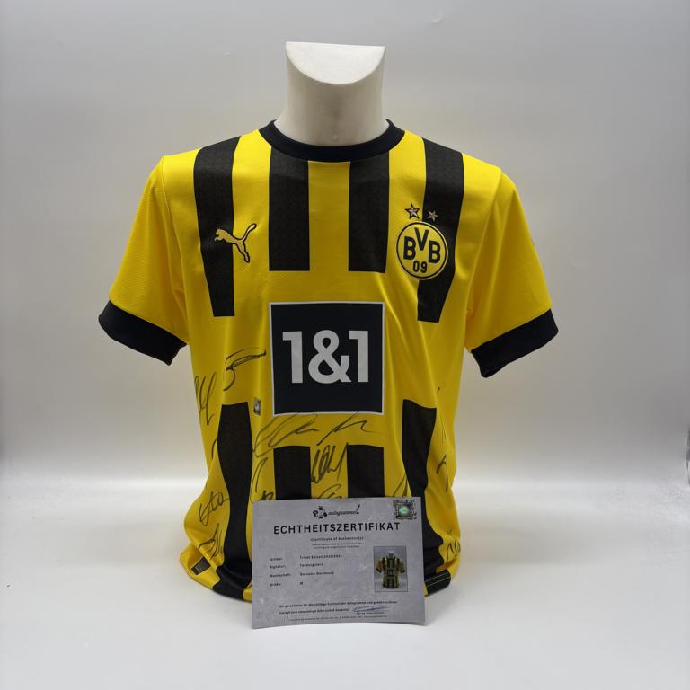 BVB Trikot 2022/2023 Teamsigniert Borussia Dortmund COA Puma M