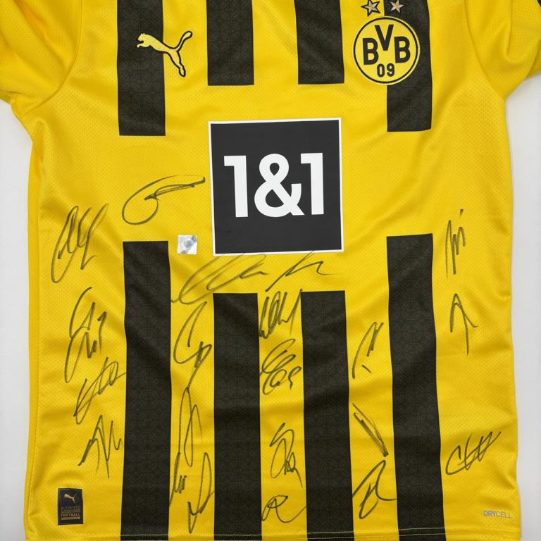 BVB Trikot 2022/2023 Teamsigniert Borussia Dortmund COA Puma M