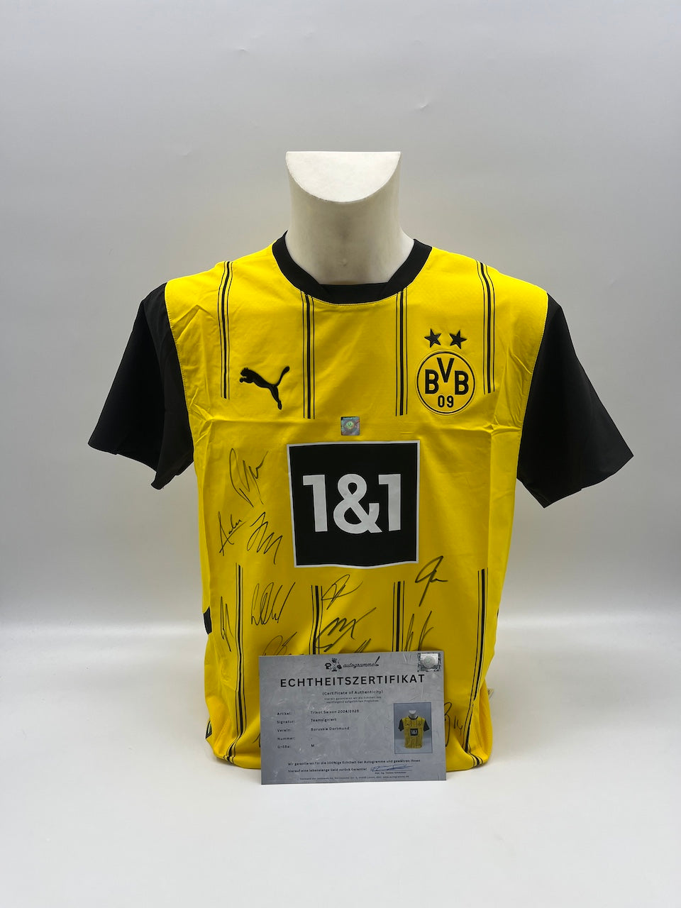 BVB jersey 2024/2025 team signed Borussia Dortmund Bundesliga COA Puma M