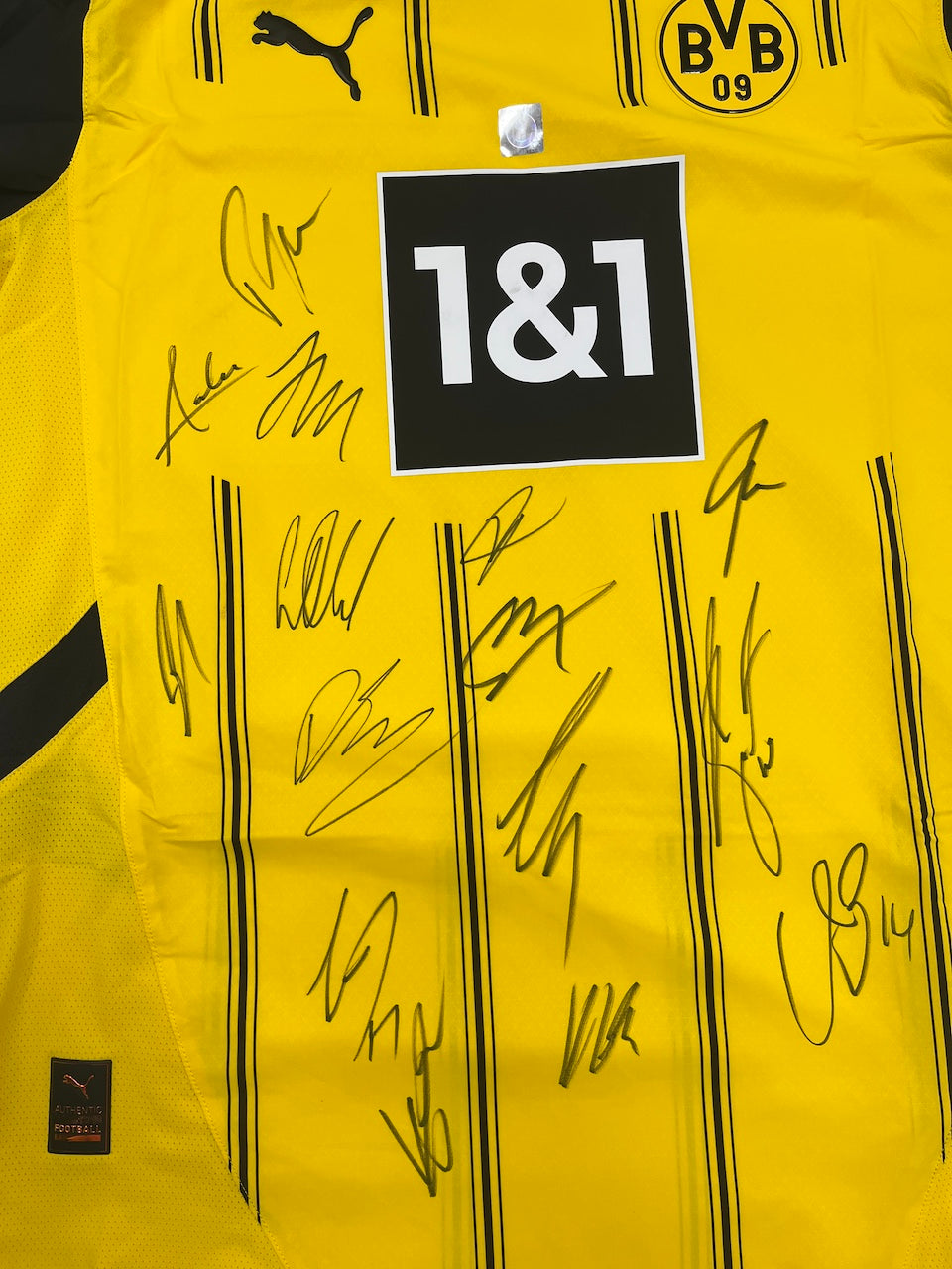 BVB jersey 2024/2025 team signed Borussia Dortmund Bundesliga COA Puma M