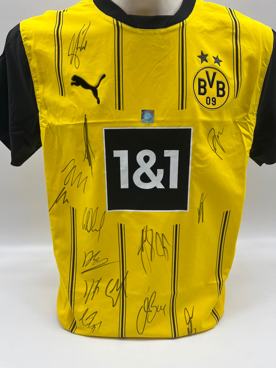BVB jersey 2024/2025 team signed Borussia Dortmund COA Puma M