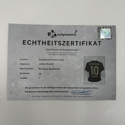 Borussia Dortmund Sondertrikot signiert Julian Brandt BVB Puma Autogramm L