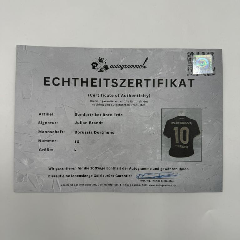 Borussia Dortmund Sondertrikot signiert Julian Brandt BVB Puma Autogramm L
