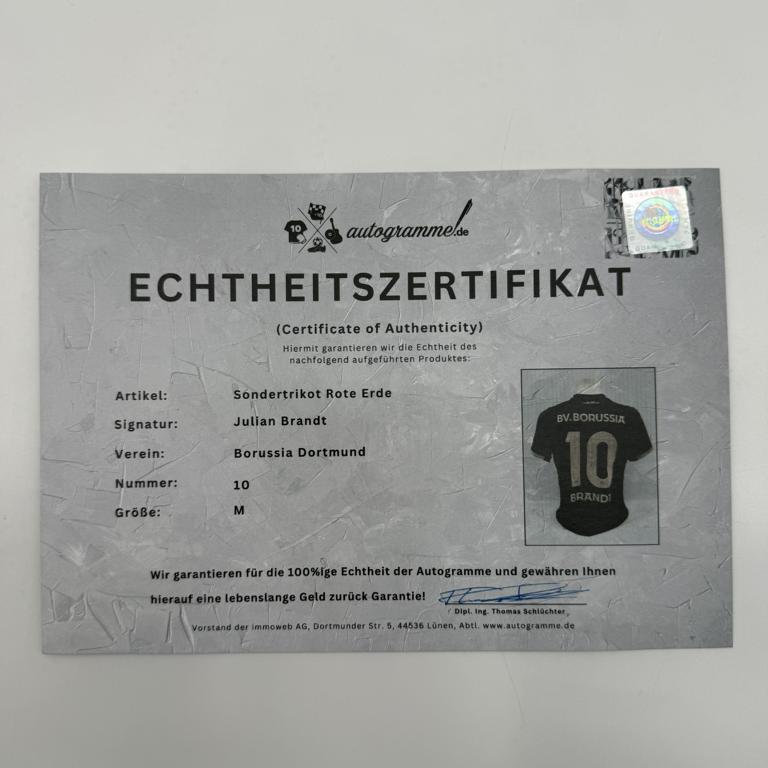 Borussia Dortmund Sondertrikot signiert Julian Brandt BVB Puma Autogramm M