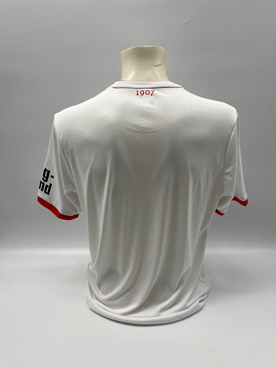 FC Augsburg Trikot 2023/2024 Teamsigniert COA Bundesliga L