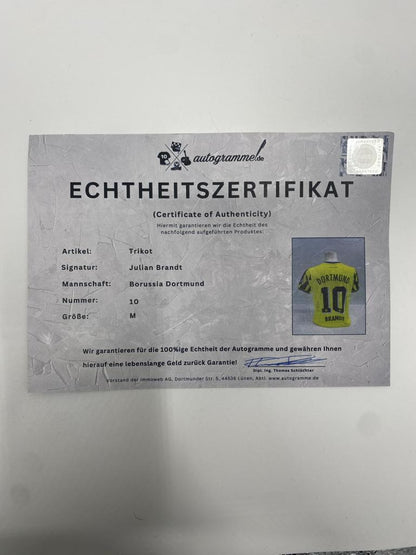 Borussia Dortmund Trikot Julian Brandt signiert Puma COA  Autogramm M