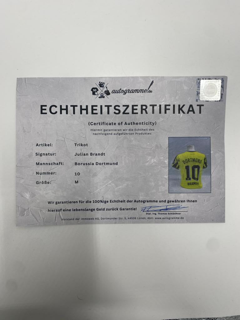 Borussia Dortmund Trikot Julian Brandt signiert Puma COA  Autogramm M