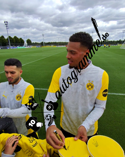 Borussia Dortmund Authentic Trikot Felix Nmecha signiert BVB Puma M