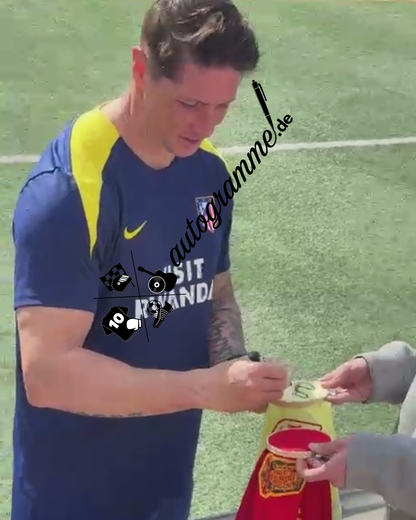 Spanien Trikot Fernando Torres signiert Adidas COA Autogramm M
