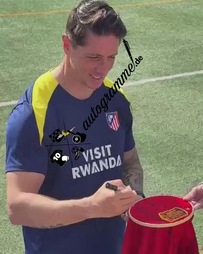 Spanien Trikot Fernando Torres signiert Adidas COA Autogramm XL