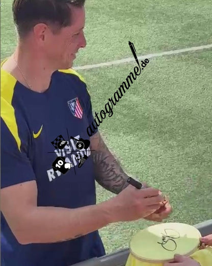 Spanien Trikot Fernando Torres signiert Adidas COA Autogramm XL