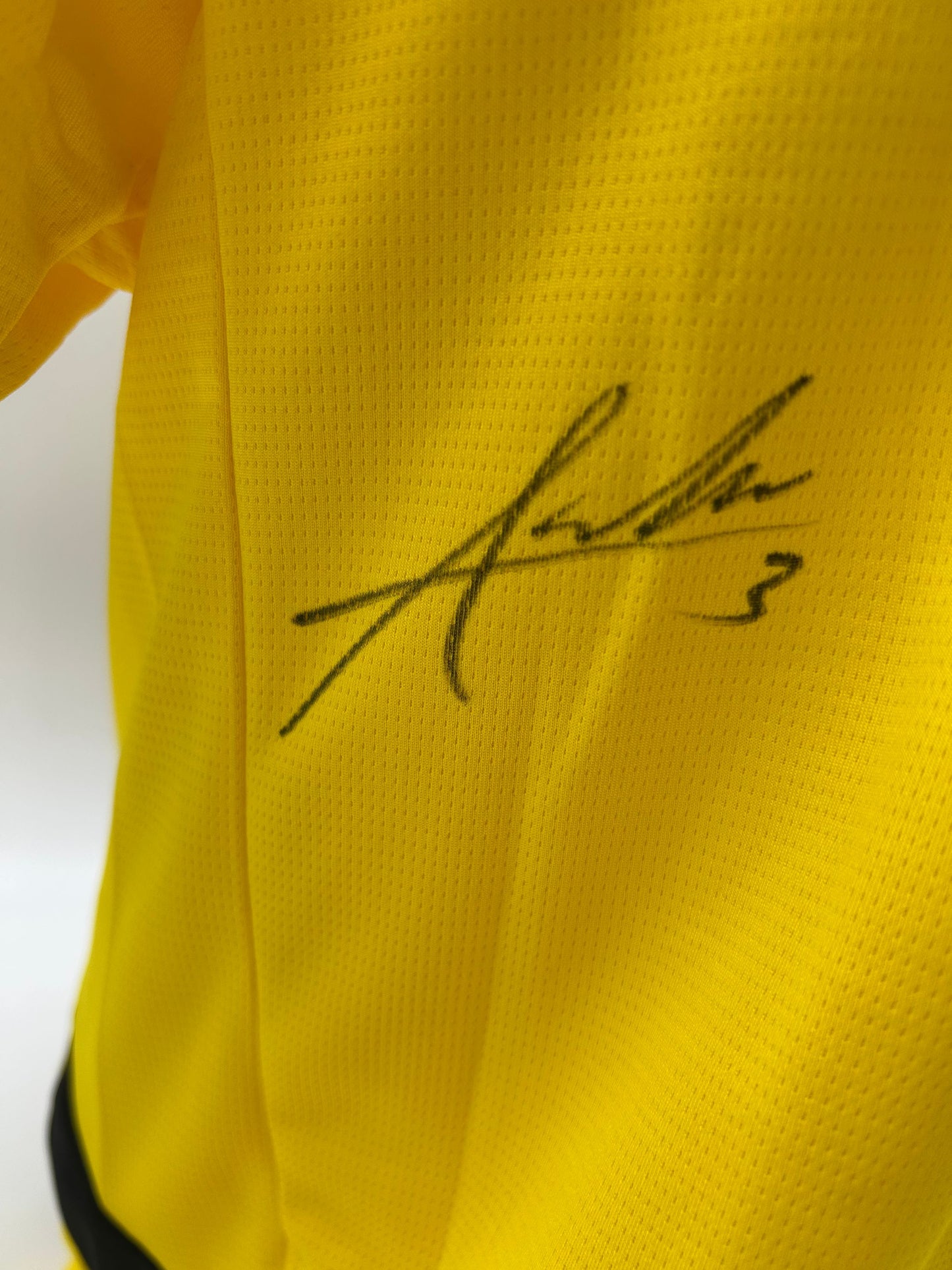 Borussia Dortmund Trikot Waldemar Anton signiert  BVB  Autogramm Puma L