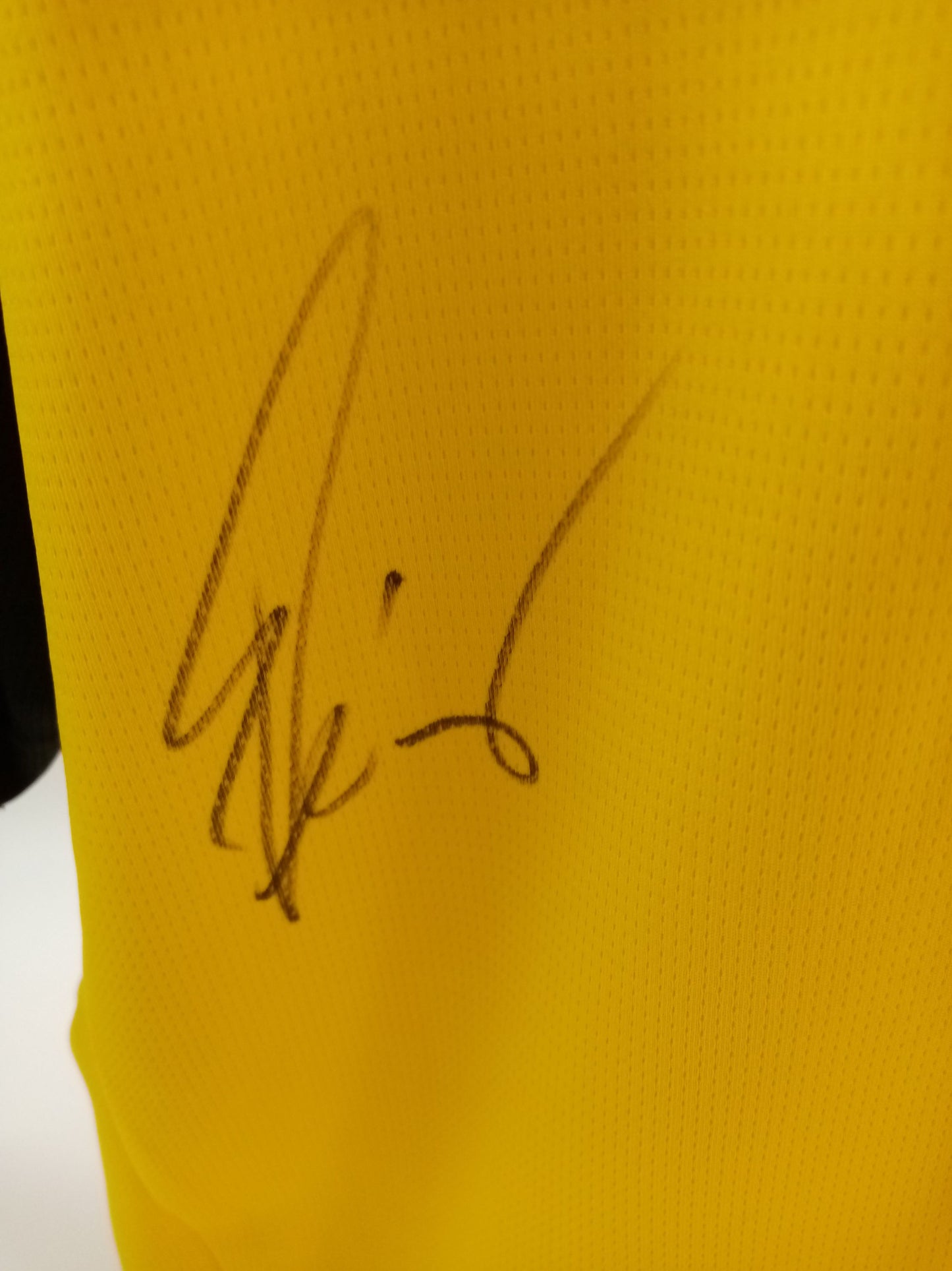 Borussia Dortmund Trikot Maximilian Beier signiert BVB Autogramm Puma COA XL