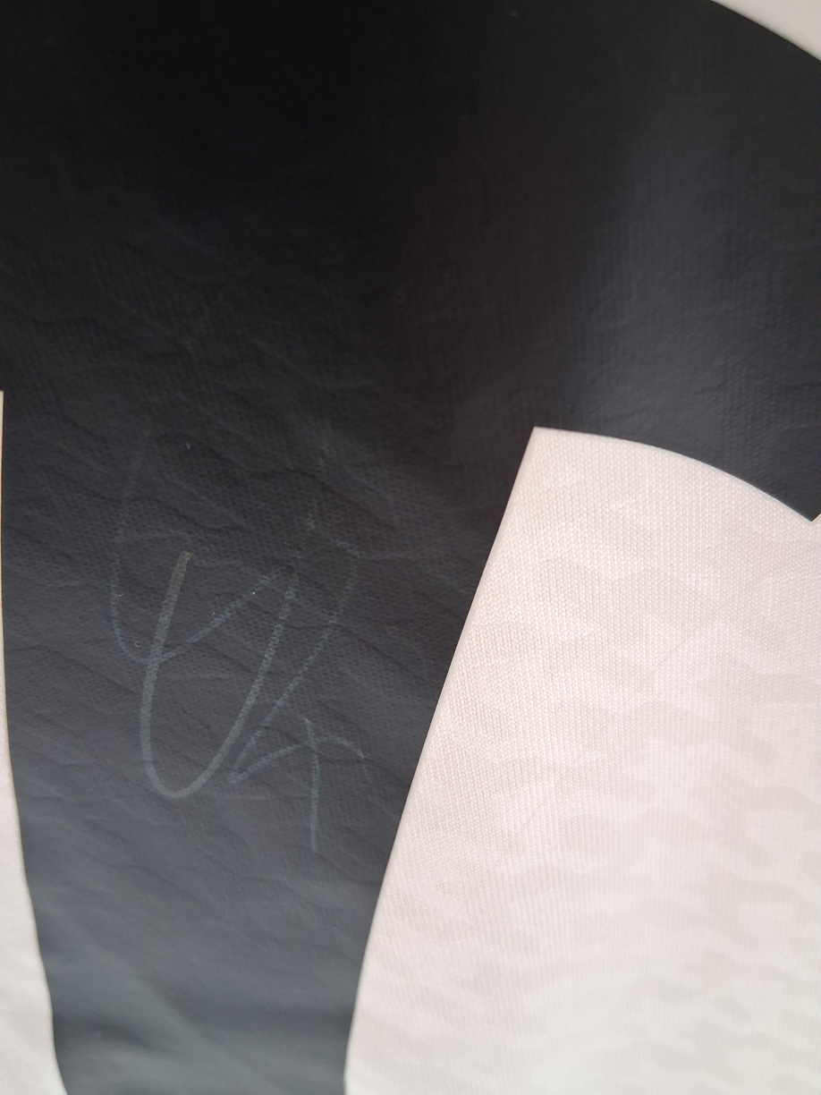 Real Madrid Trikot Vinicius Junior signiert Autogramm Adidas COA M