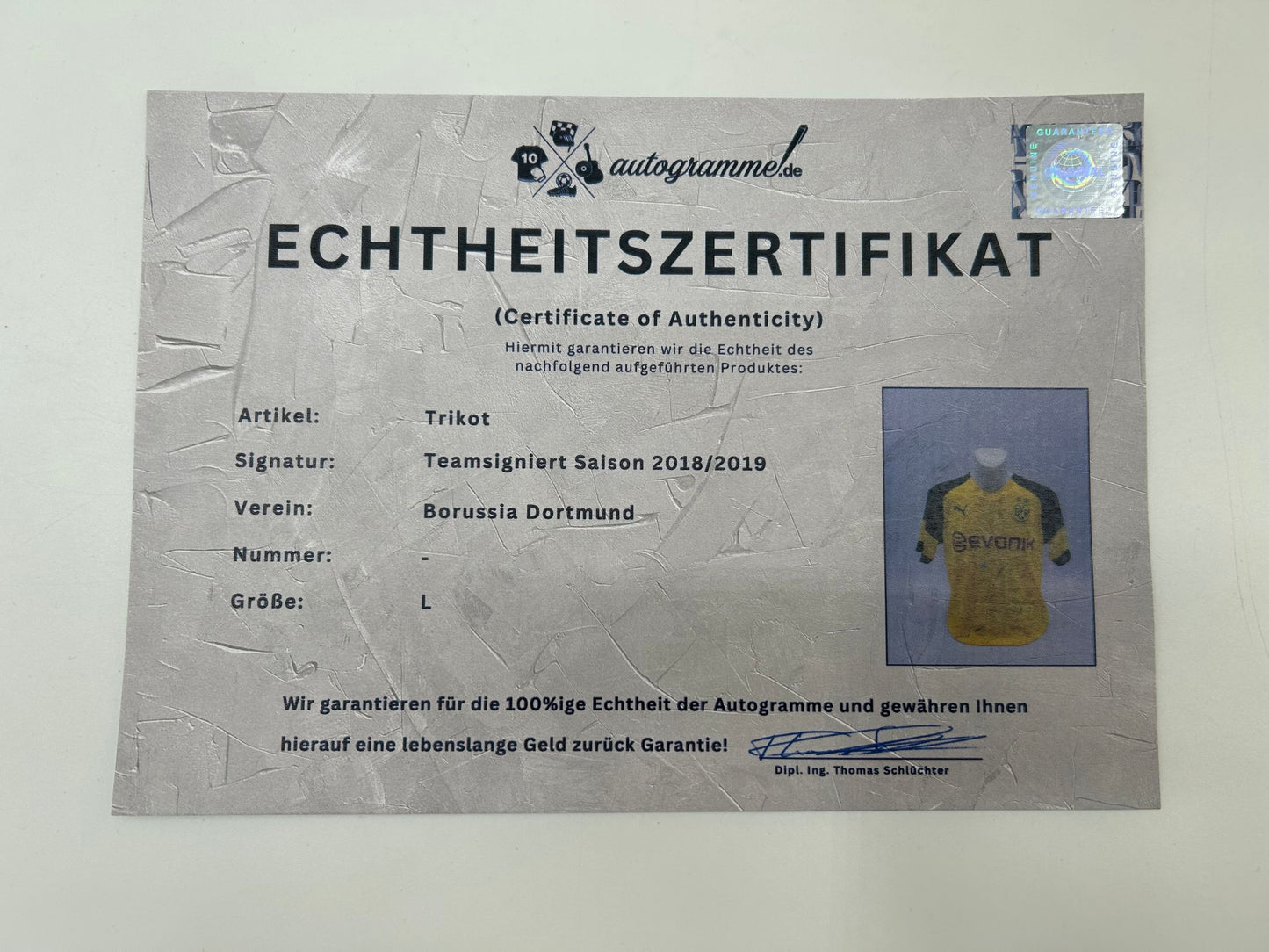 BVB Trikot 2018/2019 Teamsigniert Borussia Dortmund COA Neu Puma L