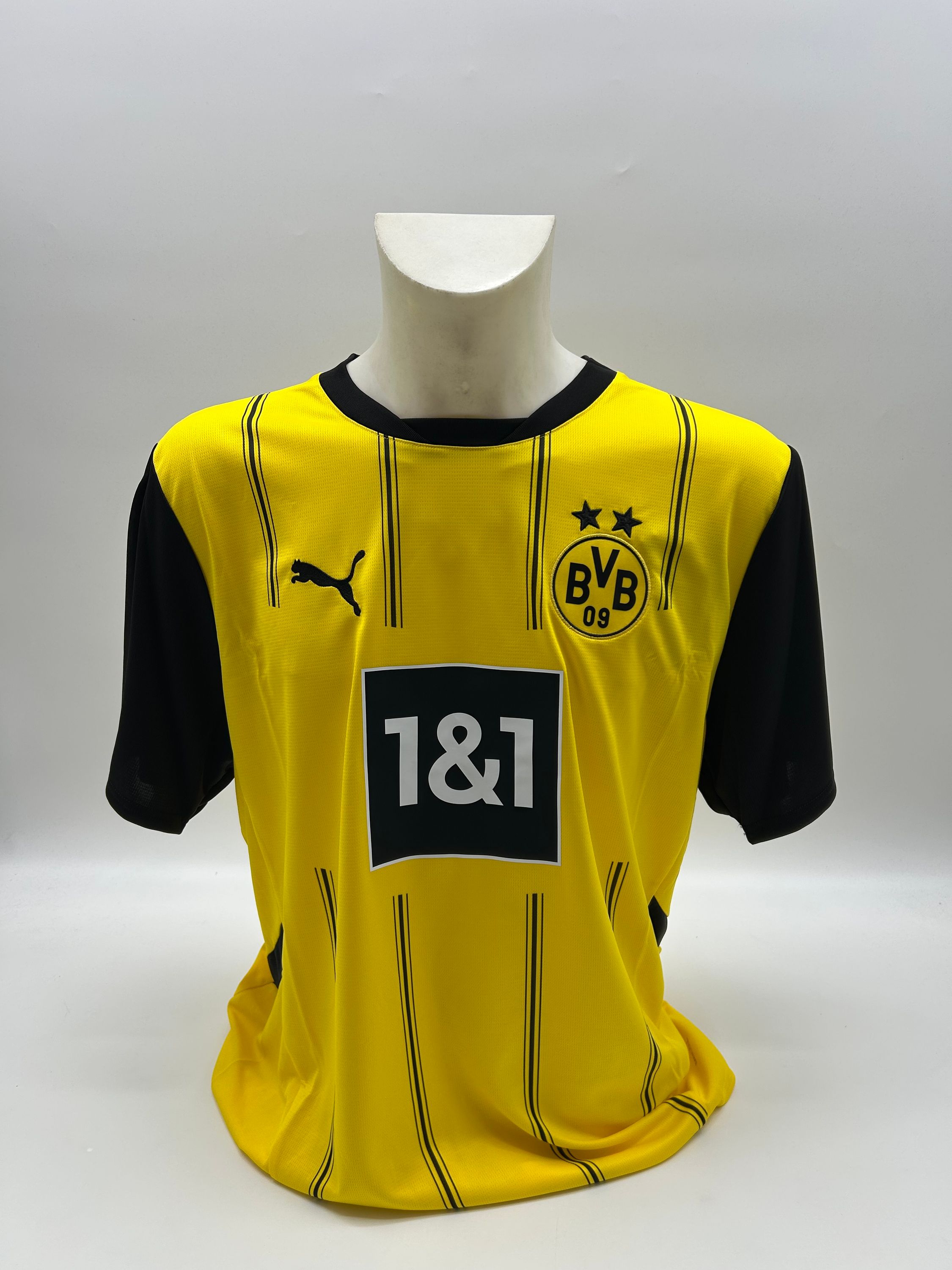 Borussia Dortmund Trikot Pascal Groß signiert Autogramm Puma  XL