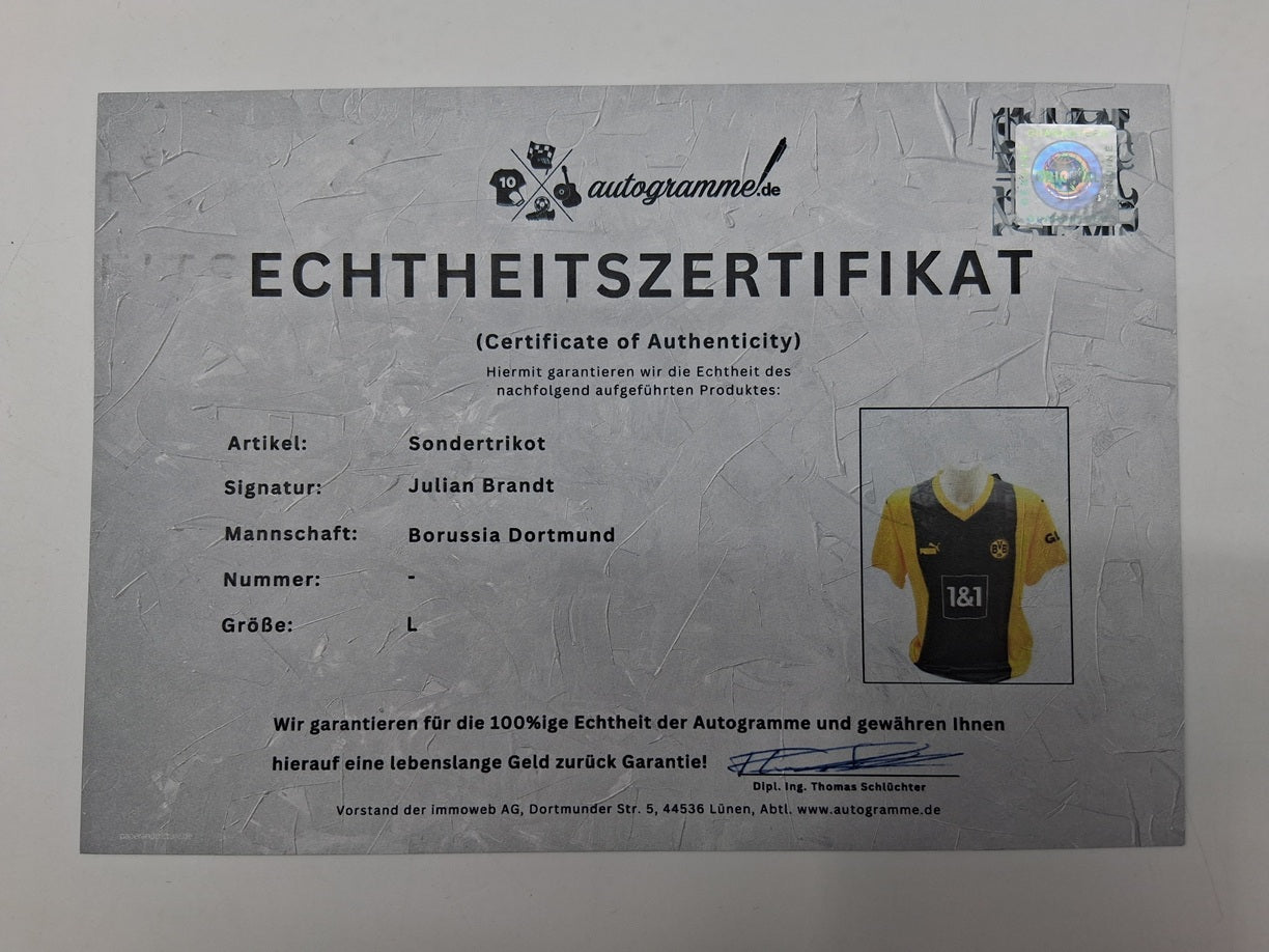 Borussia Dortmund Sondertrikot Julian Brandt signiert Autogramm Puma BVB L