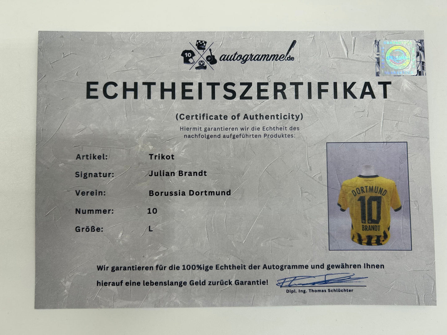 Borussia Dortmund Trikot signiert Julian Brandt BVB Autogramm Puma L