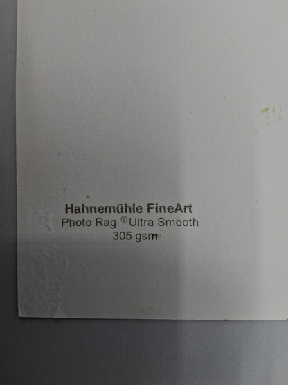 Udo Lindenberg Bild "Andrea Doria" im Rahmen Unikat Gemälde Likörell