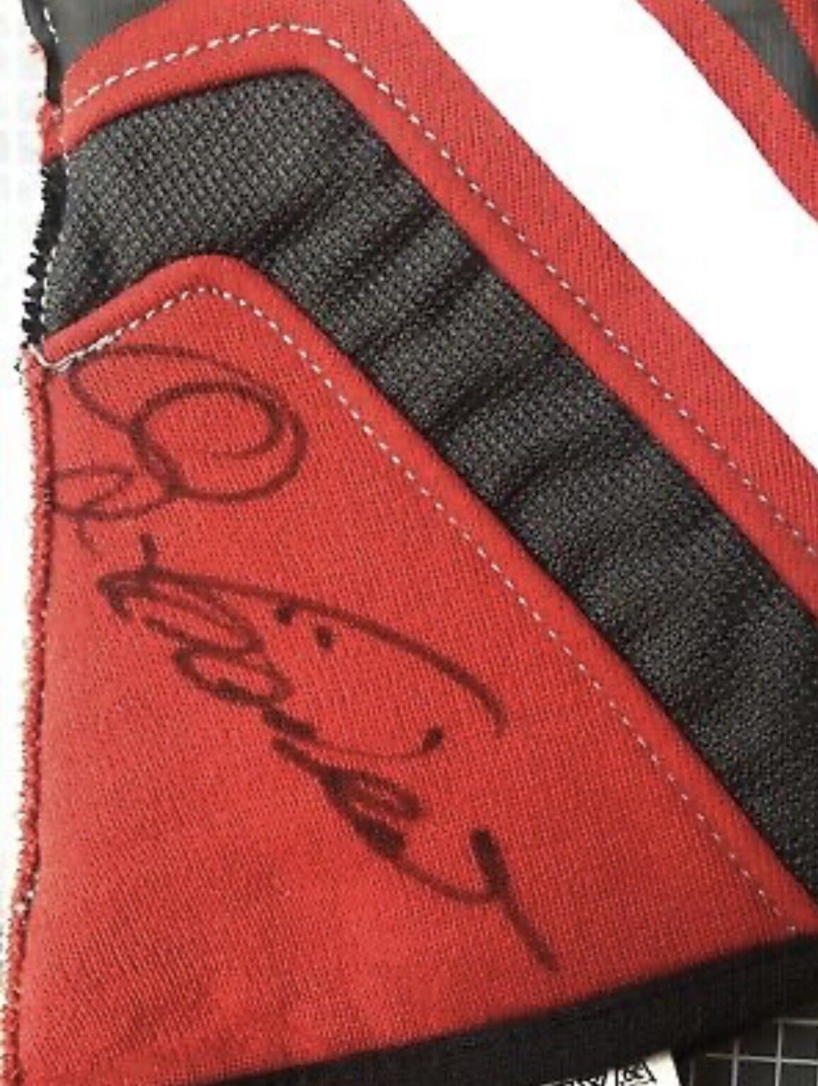 Giancarlo Fisichella Formula 1 original worn driver gloves signed