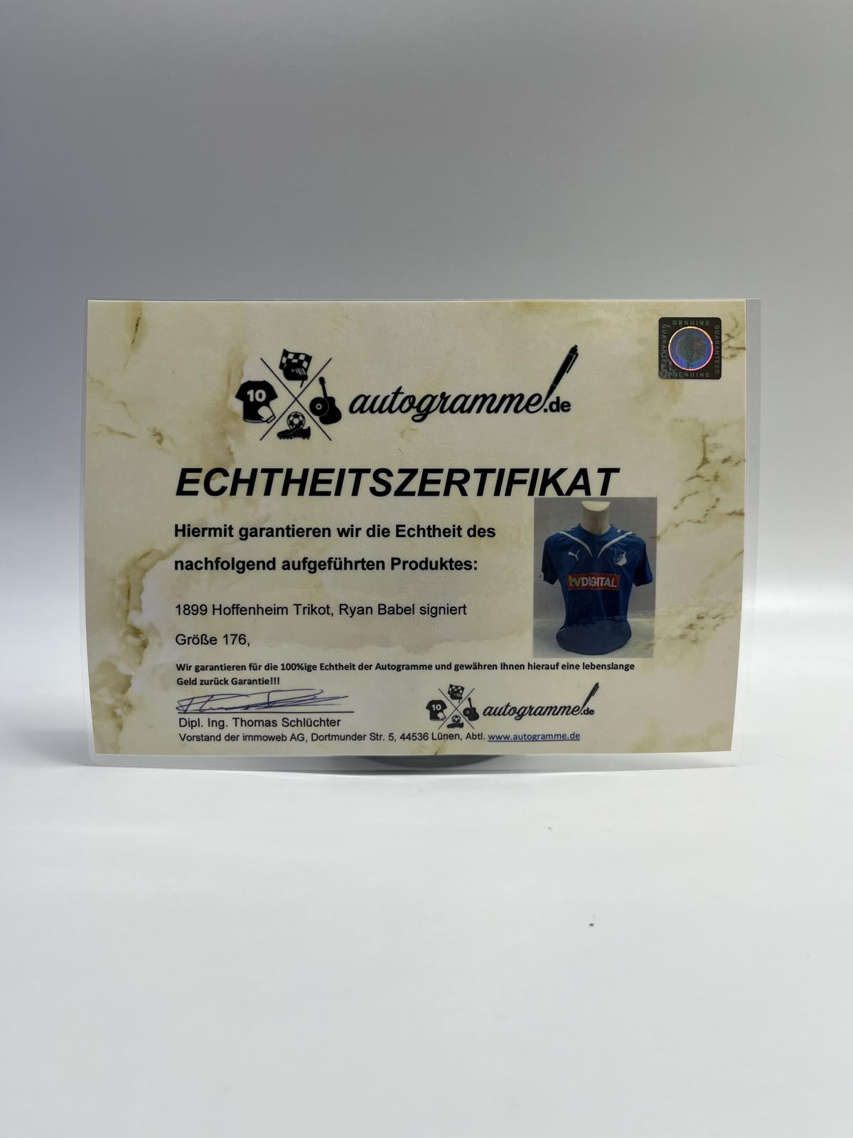 TSG 1899 Hoffenheim Trikot Ryan Babel signiert Autogramme Bundesliga Fußball Puma 176