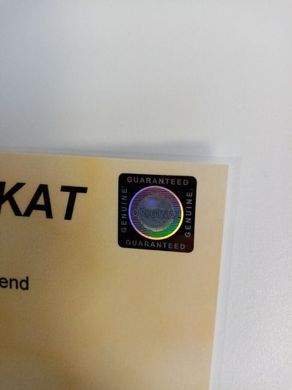 Deutschland Trikot EM 2004 Teamsigniert COA Autogramm Fußball DFB Adidas XL