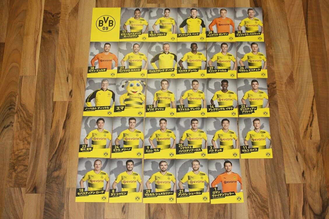 2x29 Autogrammkarten Borussia Dortmund BVB 2017/18 17/18 Asien Tour China Japan