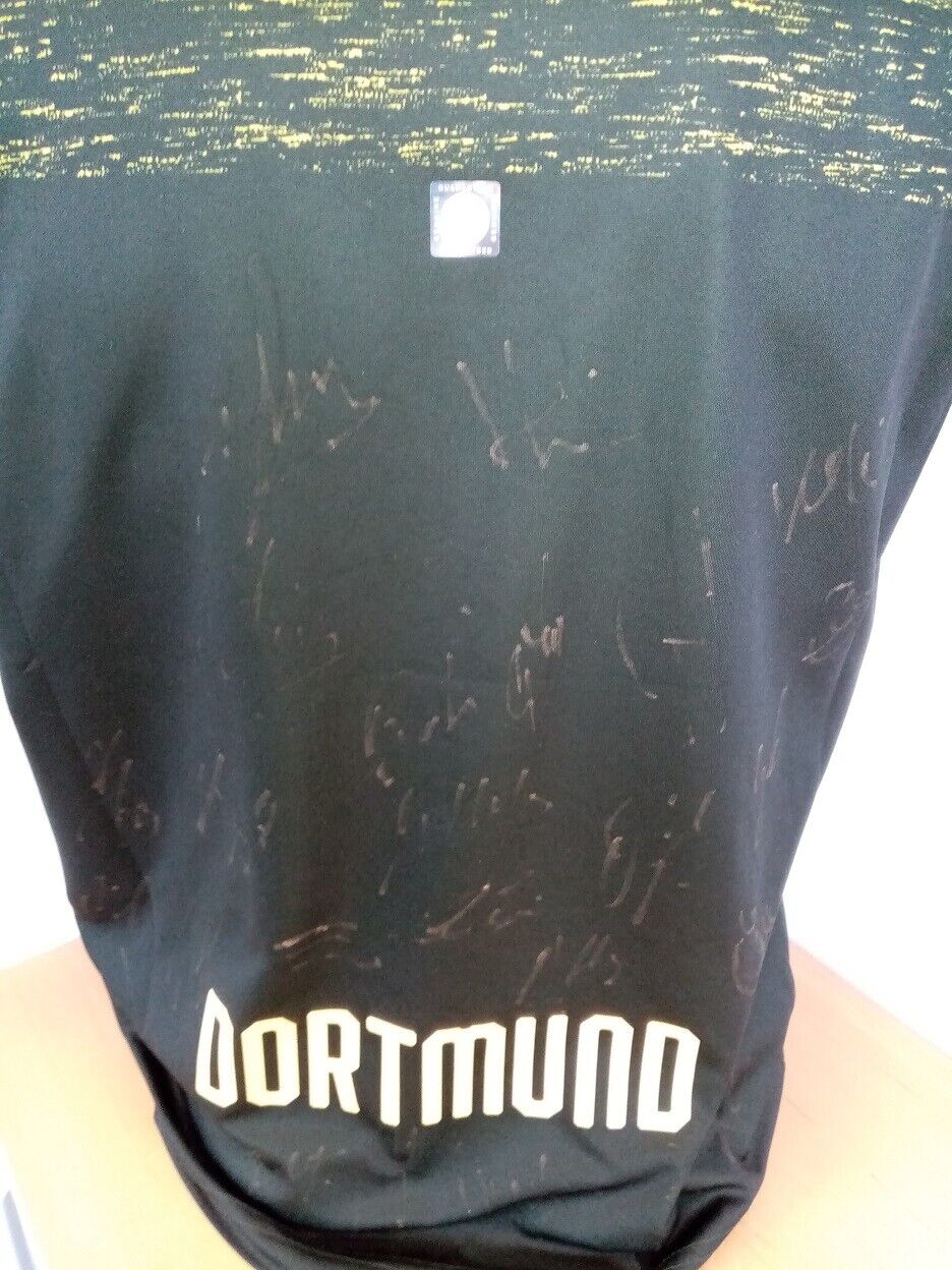 BVB Trikot 18/19 Teamsigniert Borussia Dortmund Autogramm Unterschrift Puma 176