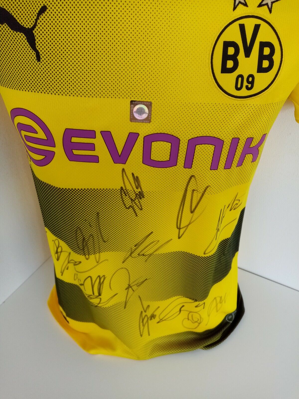 BVB Trikot 17/18 Teamsigniert Borussia Dortmund Autogramm Unterschrift Puma 36