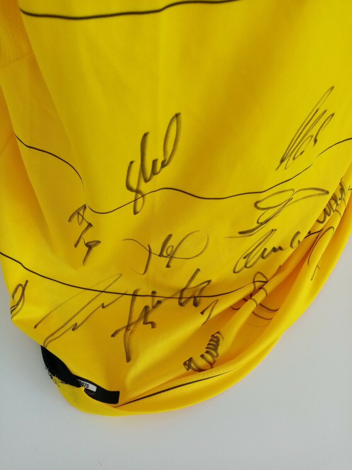 BVB Trikot 15/16 Teamsigniert Borussia Dortmund Autogramm Unterschrift Puma L